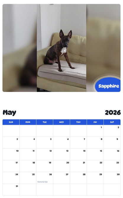 2026 - 2027 Sapphire - Pawidols Pet Calendar