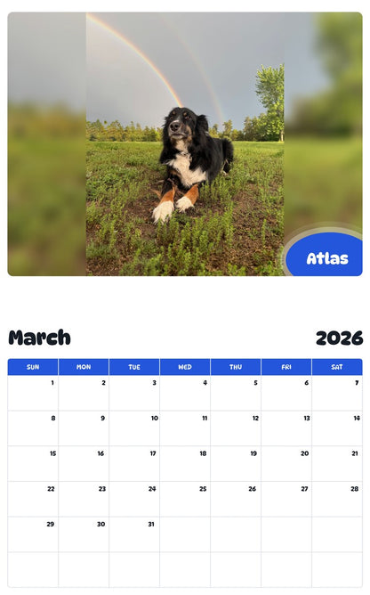 November 2025 - October 2026 Atlas - Pawidols Pet Calendar