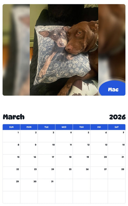 November 2025 - October 2026 Mac - Pawidols Pet Calendar