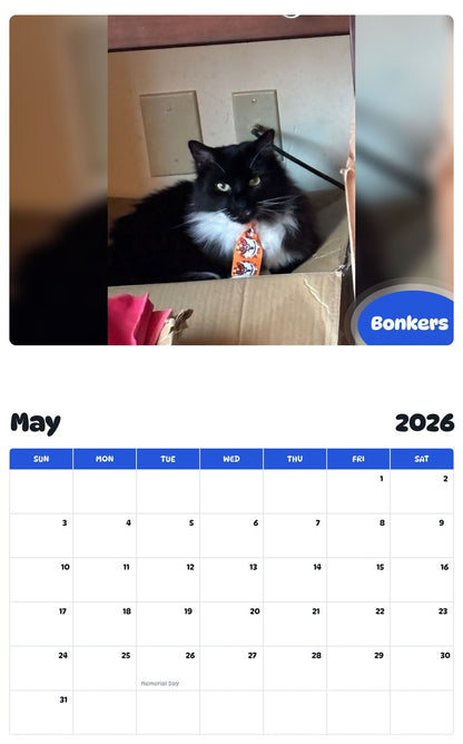 2026 - 2027 Bonkers - Pawidols Pet Calendar