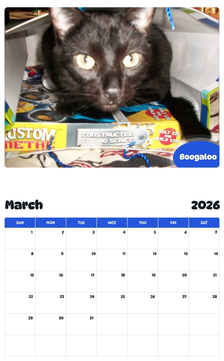 November 2025 - October 2026 Boogaloo - Pawidols Pet Calendar