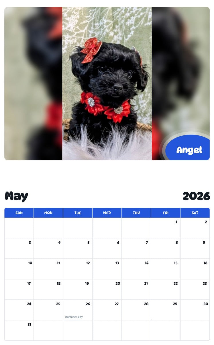 2026 - 2027 Angel - Pawidols Pet Calendar