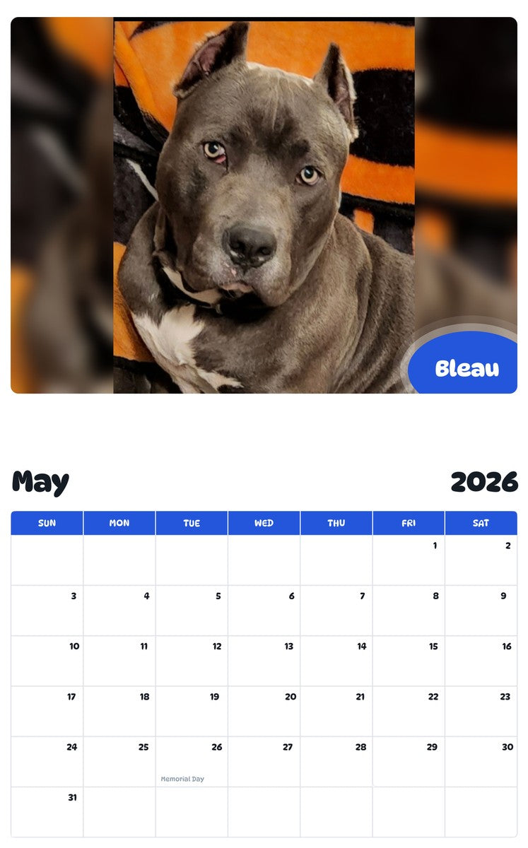 2026 - 2027 Bleau - Pawidols Pet Calendar