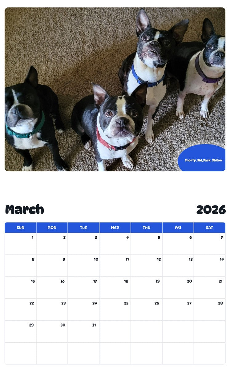 November 2025 - October 2026 Shorty, Sid,Jack, Shilow - Pawidols Pet Calendar