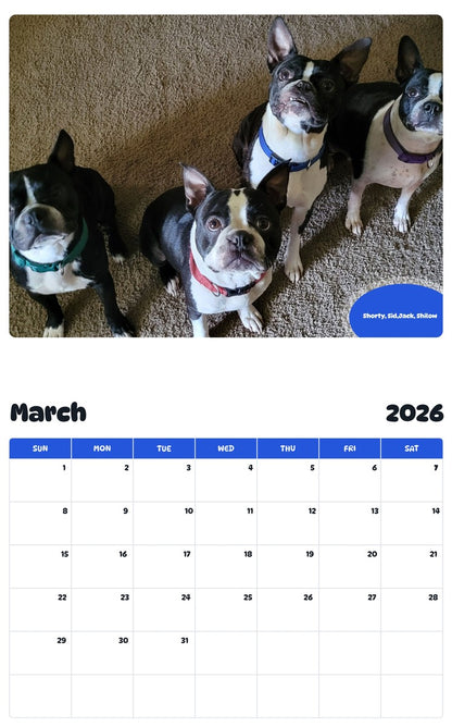 November 2025 - October 2026 Shorty, Sid,Jack, Shilow - Pawidols Pet Calendar