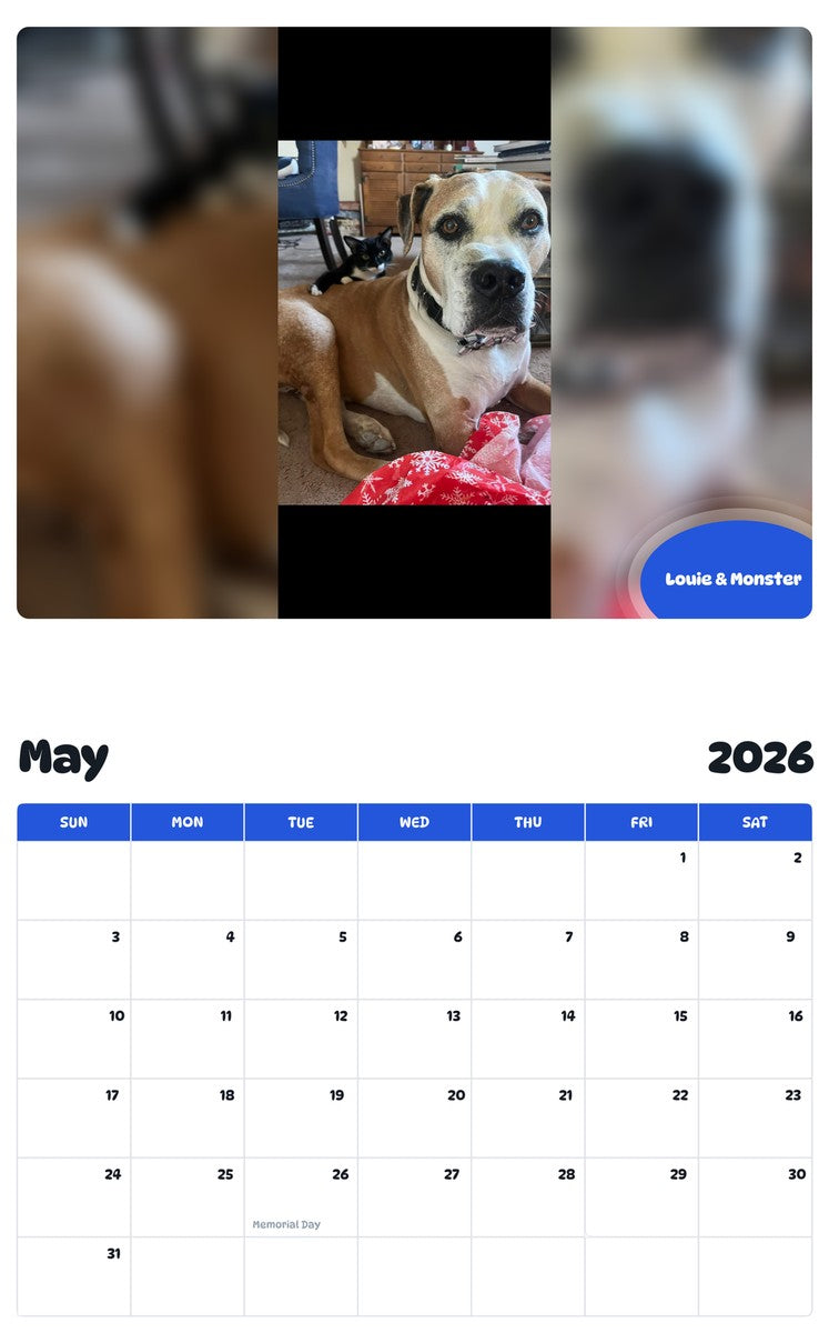 2026 - 2027 Louie & Monster - Pawidols Pet Calendar