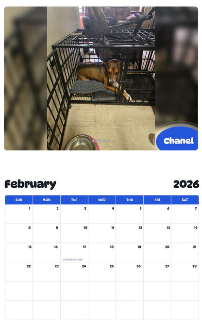 October 2025 - September 2026 Chanel - Pawidols Pet Calendar
