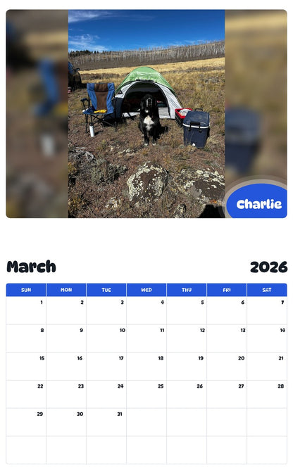 November 2025 - October 2026 Charlie - Pawidols Pet Calendar