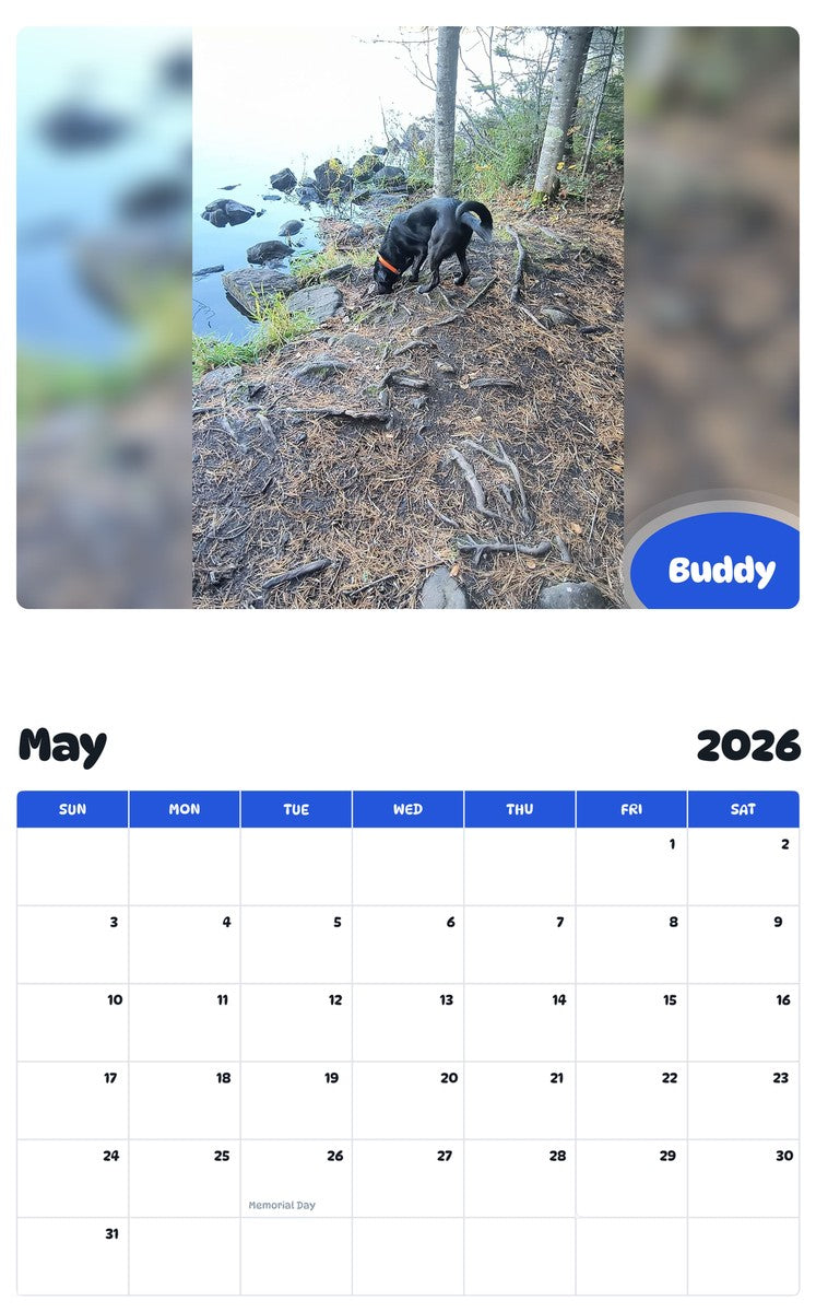 2026 - 2027 Buddy - Pawidols Pet Calendar