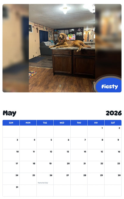 2026 - 2027 Fiesty - Pawidols Pet Calendar