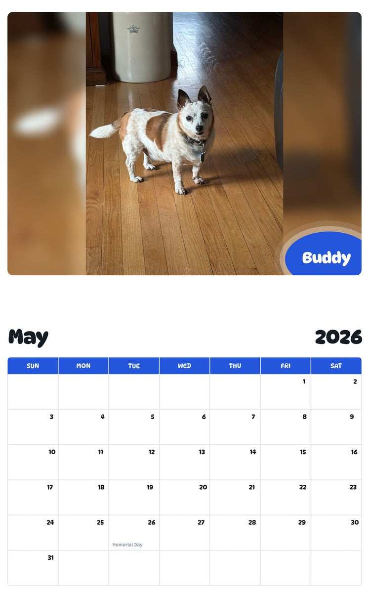 2026 - 2027 Buddy - Pawidols Pet Calendar