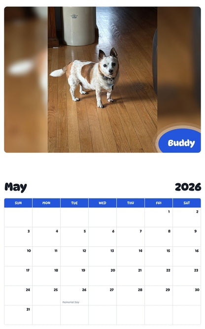 2026 - 2027 Buddy - Pawidols Pet Calendar