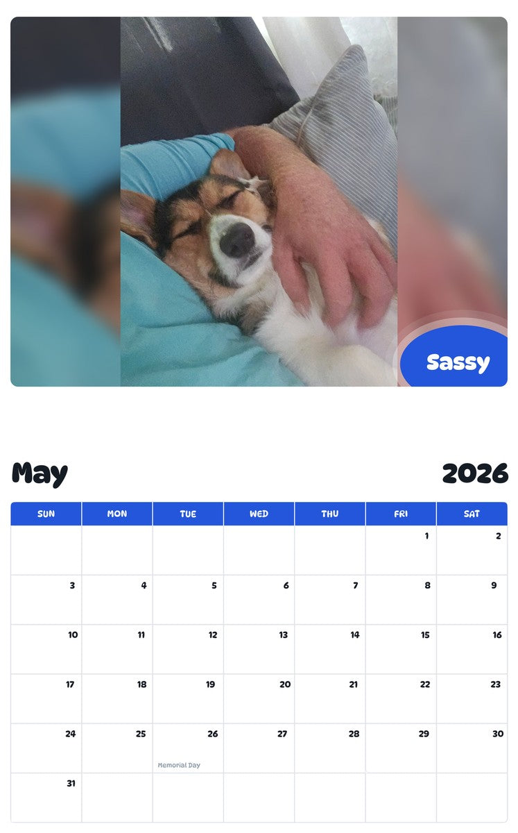2026 - 2027 Sassy - Pawidols Pet Calendar