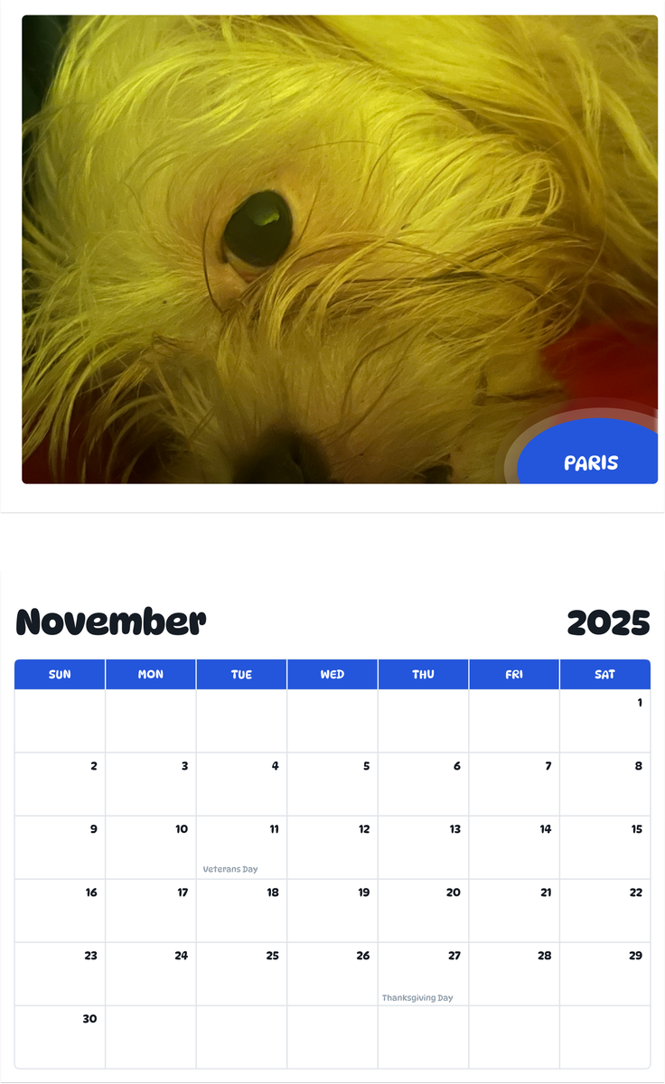 July 2025 - June 2026 Paris - Pawidols Pet Calendar