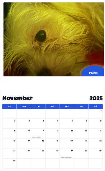 July 2025 - June 2026 Paris - Pawidols Pet Calendar