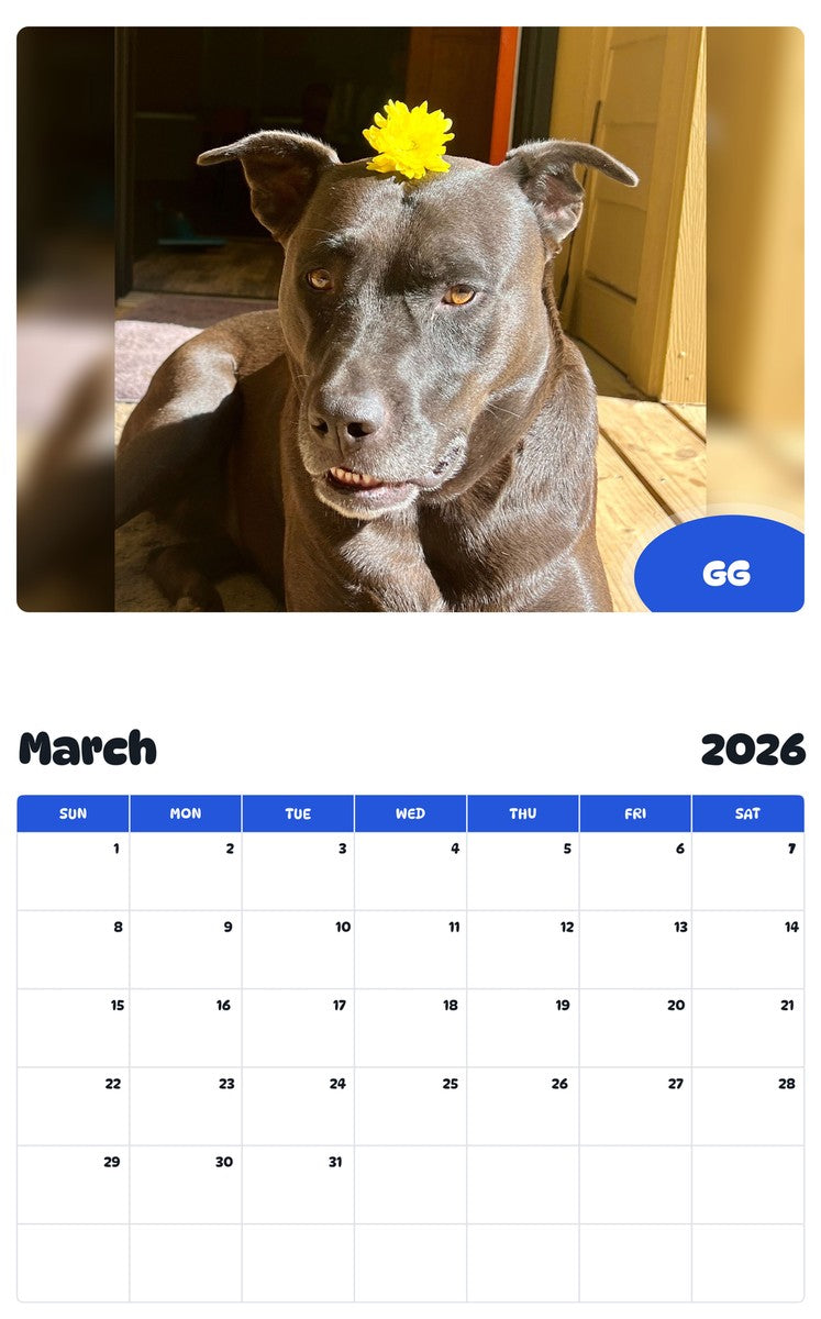 November 2025 - October 2026 GG - Pawidols Pet Calendar
