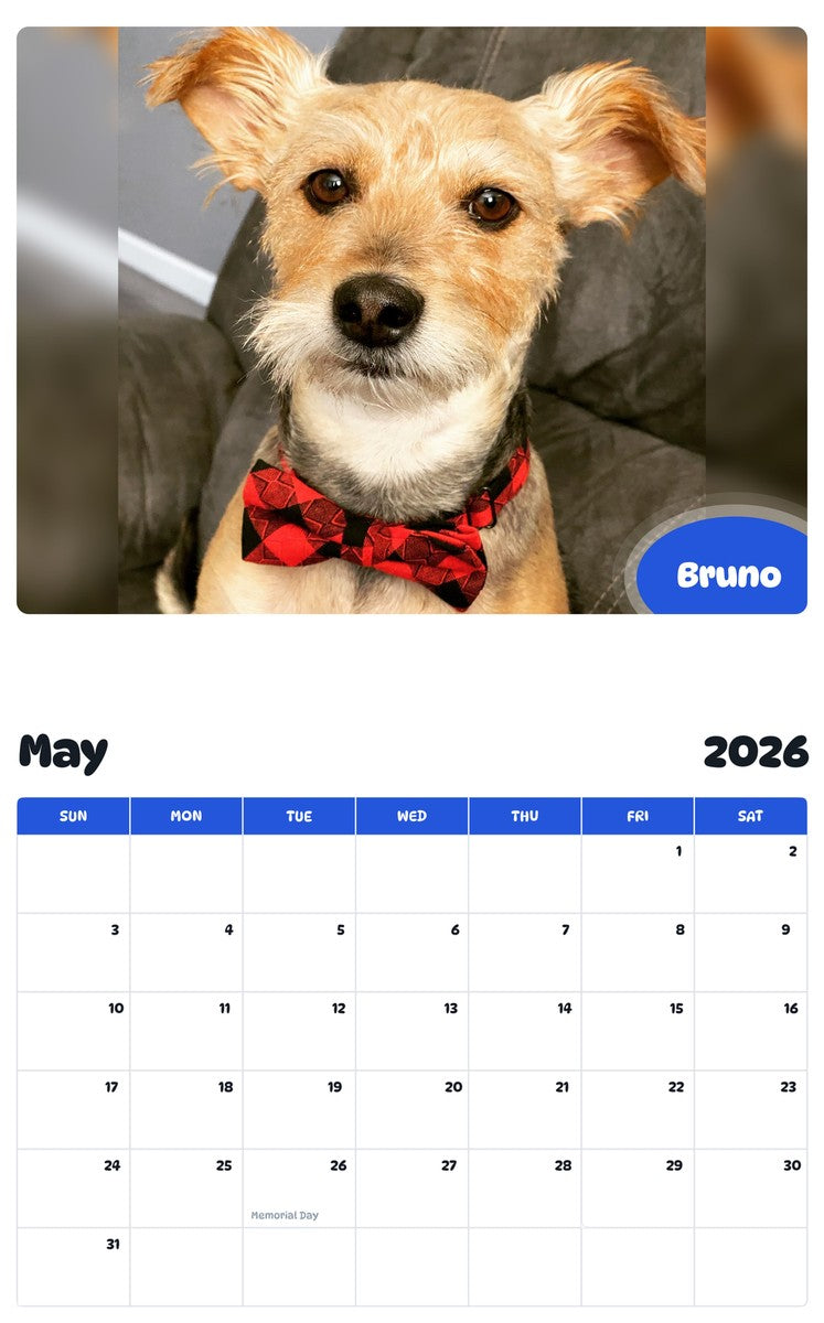 2026 - 2027 Bruno - Pawidols Pet Calendar