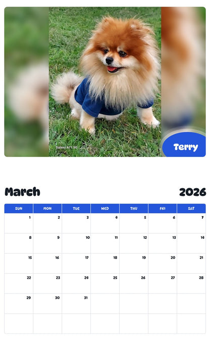 November 2025 - October 2026 Terry - Pawidols Pet Calendar