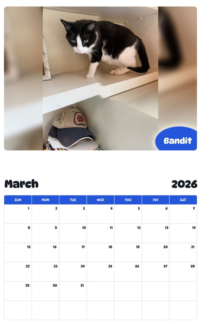 November 2025 - October 2026 Bandit - Pawidols Pet Calendar