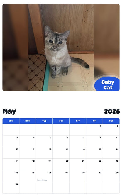 2026 - 2027 Baby Cat - Pawidols Pet Calendar