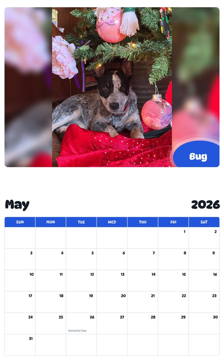 2026 - 2027 Bug - Pawidols Pet Calendar
