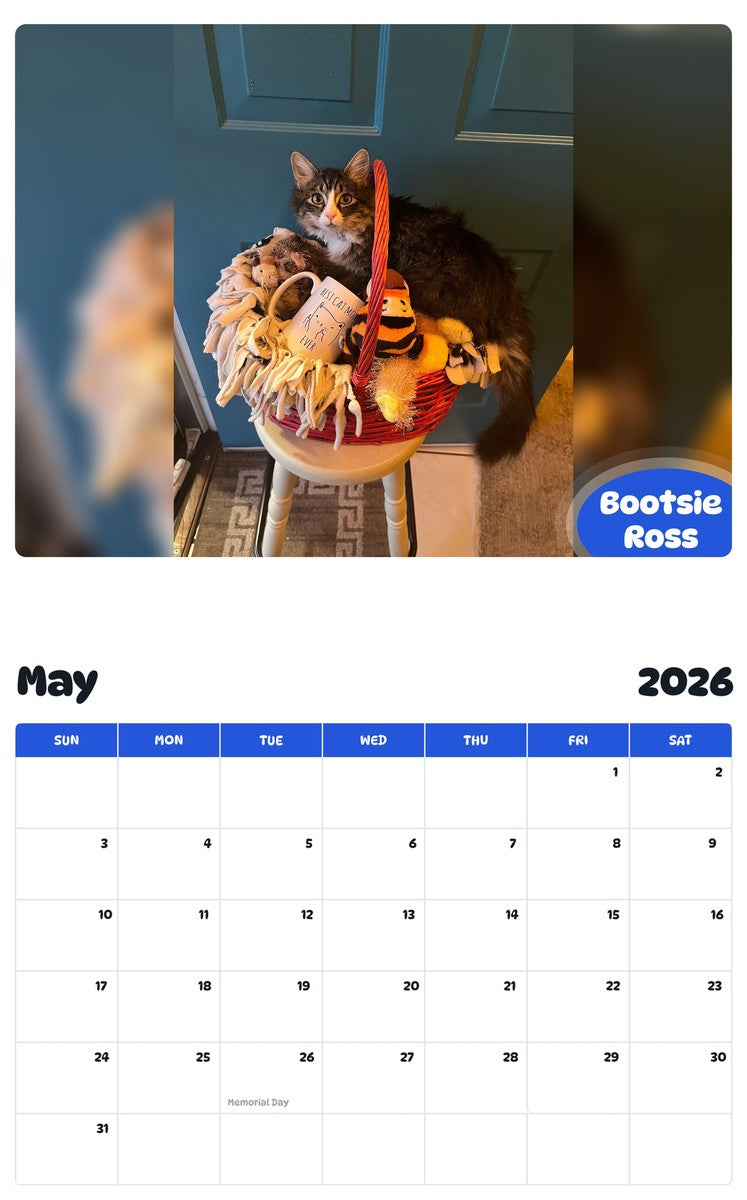 2026 - 2027 Bootsie Ross - Pawidols Pet Calendar