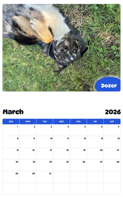 November 2025 - October 2026 Dozer - Pawidols Pet Calendar