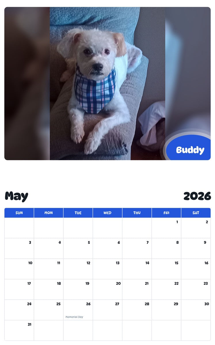 2026 - 2027 Buddy - Pawidols Pet Calendar