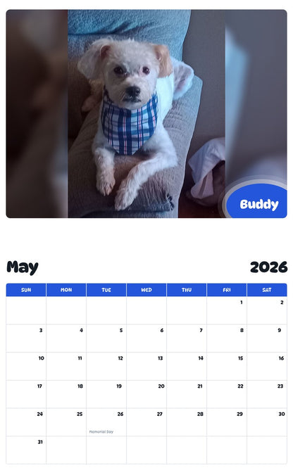 2026 - 2027 Buddy - Pawidols Pet Calendar