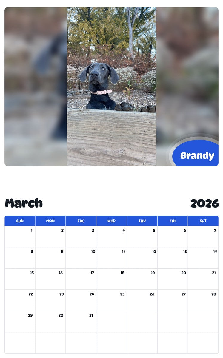 November 2025 - October 2026 Brandy - Pawidols Pet Calendar