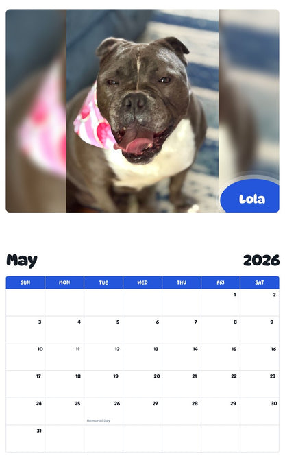 2026 - 2027 Lola - Pawidols Pet Calendar