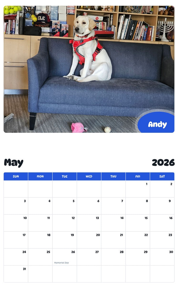 2026 - 2027 Andy - Pawidols Pet Calendar