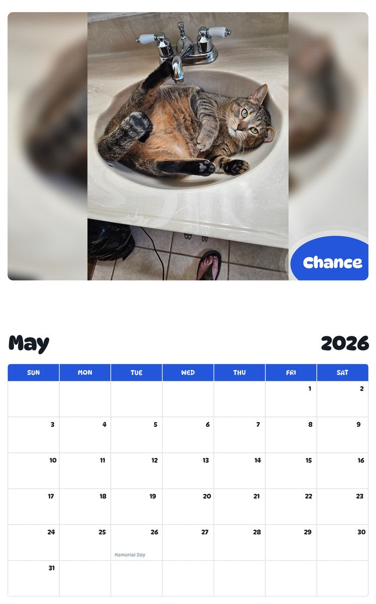 2026 - 2027 Chance - Pawidols Pet Calendar