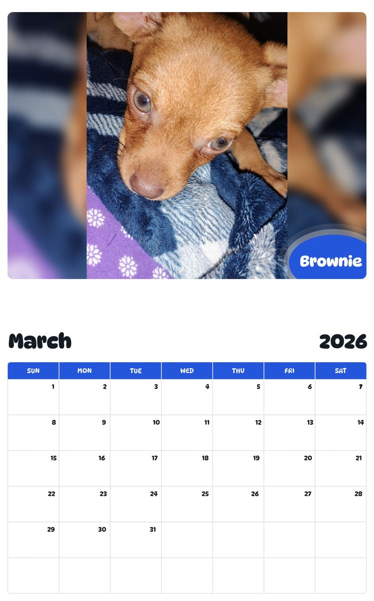 November 2025 - October 2026 Brownie - Pawidols Pet Calendar