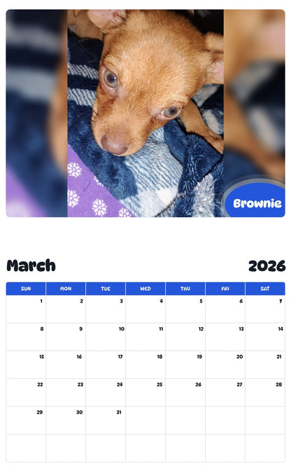 November 2025 - October 2026 Brownie - Pawidols Pet Calendar
