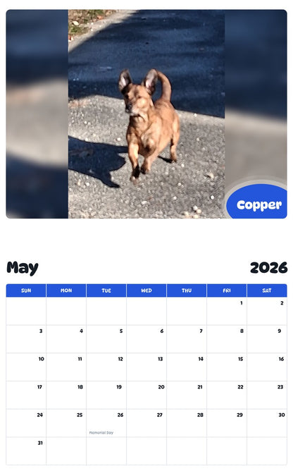 2026 - 2027 Copper - Pawidols Pet Calendar