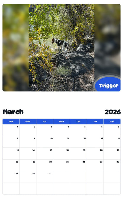 November 2025 - October 2026 Trigger - Pawidols Pet Calendar