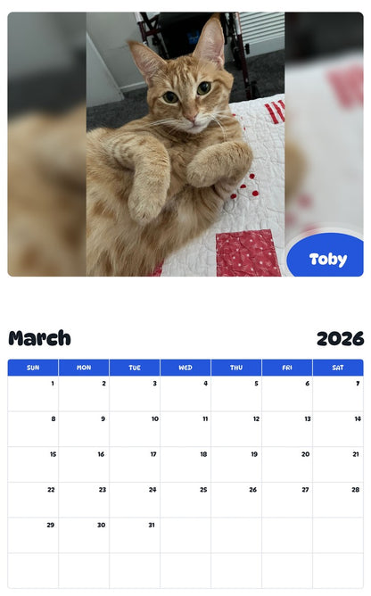 November 2025 - October 2026 Toby - Pawidols Pet Calendar