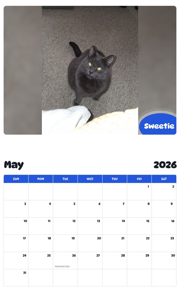 2026 - 2027 Sweetie - Pawidols Pet Calendar