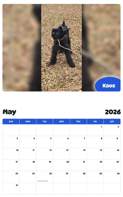 2026 - 2027 Kaos - Pawidols Pet Calendar