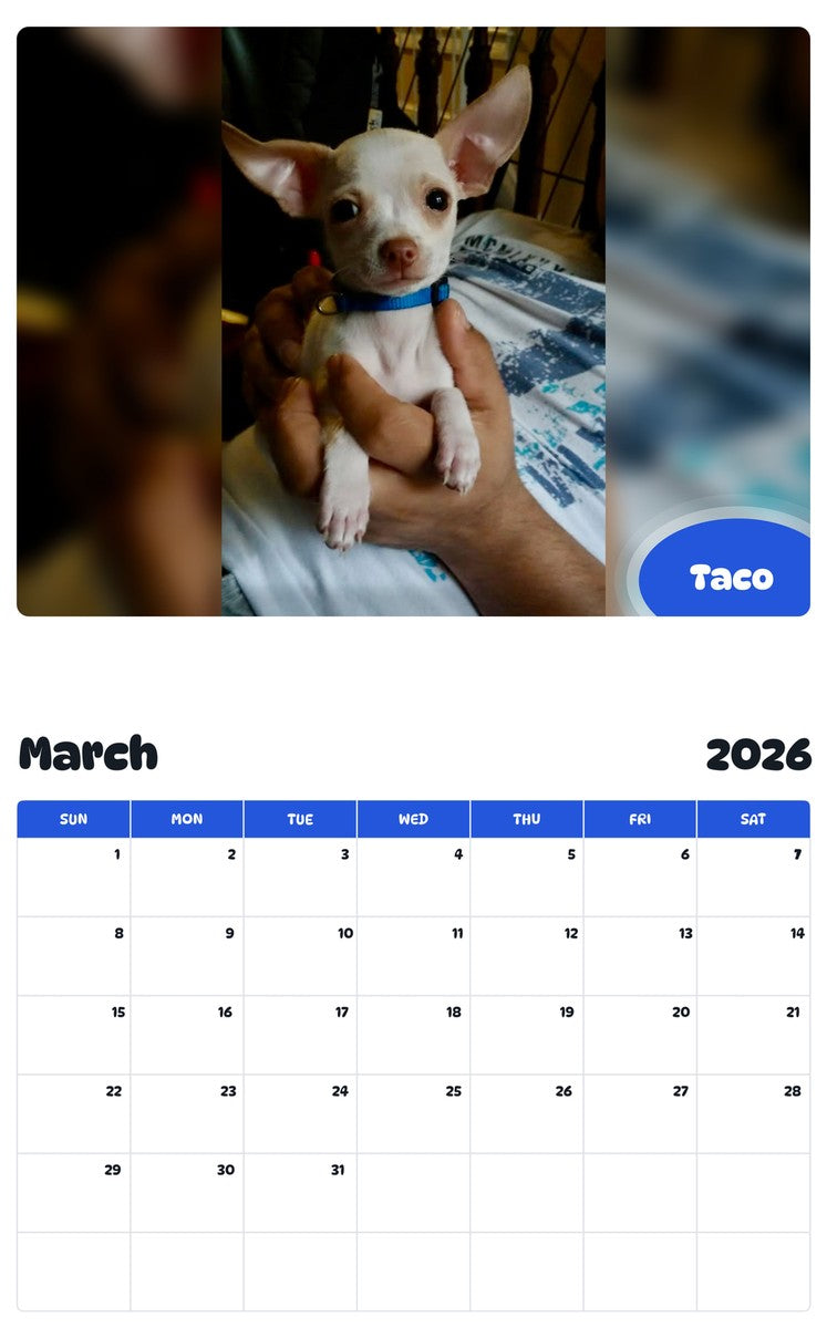 November 2025 - October 2026 Taco - Pawidols Pet Calendar