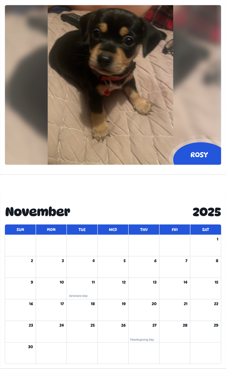 July 2025 - June 2026 Rosy - Pawidols Pet Calendar