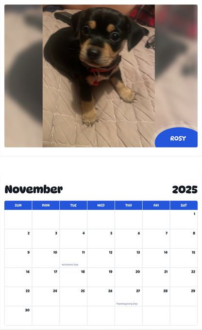 July 2025 - June 2026 Rosy - Pawidols Pet Calendar