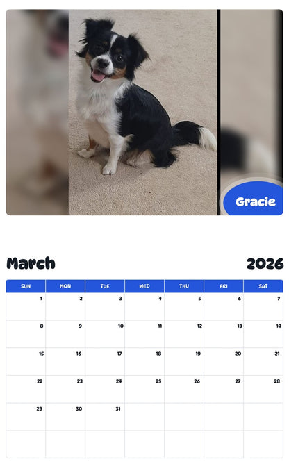 November 2025 - October 2026 Gracie - Pawidols Pet Calendar