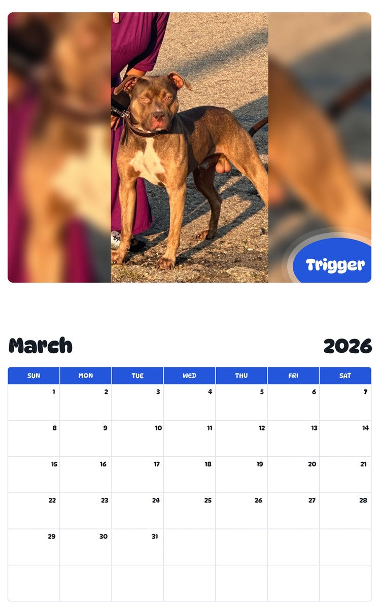 November 2025 - October 2026 Trigger - Pawidols Pet Calendar