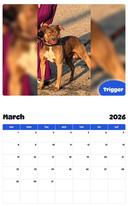 November 2025 - October 2026 Trigger - Pawidols Pet Calendar