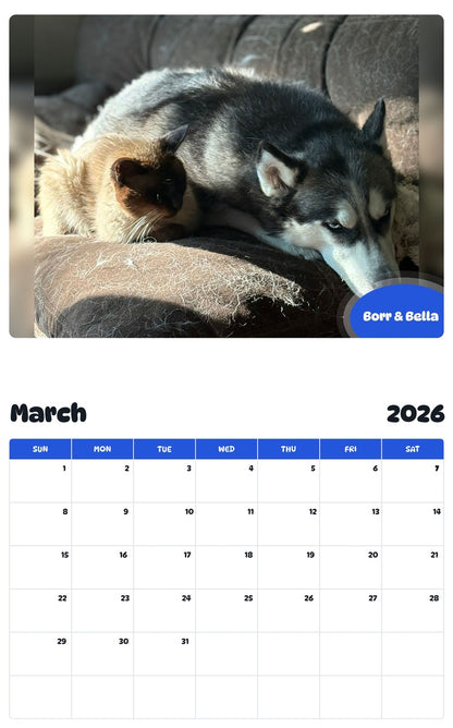November 2025 - October 2026 Borr & Bella - Pawidols Pet Calendar