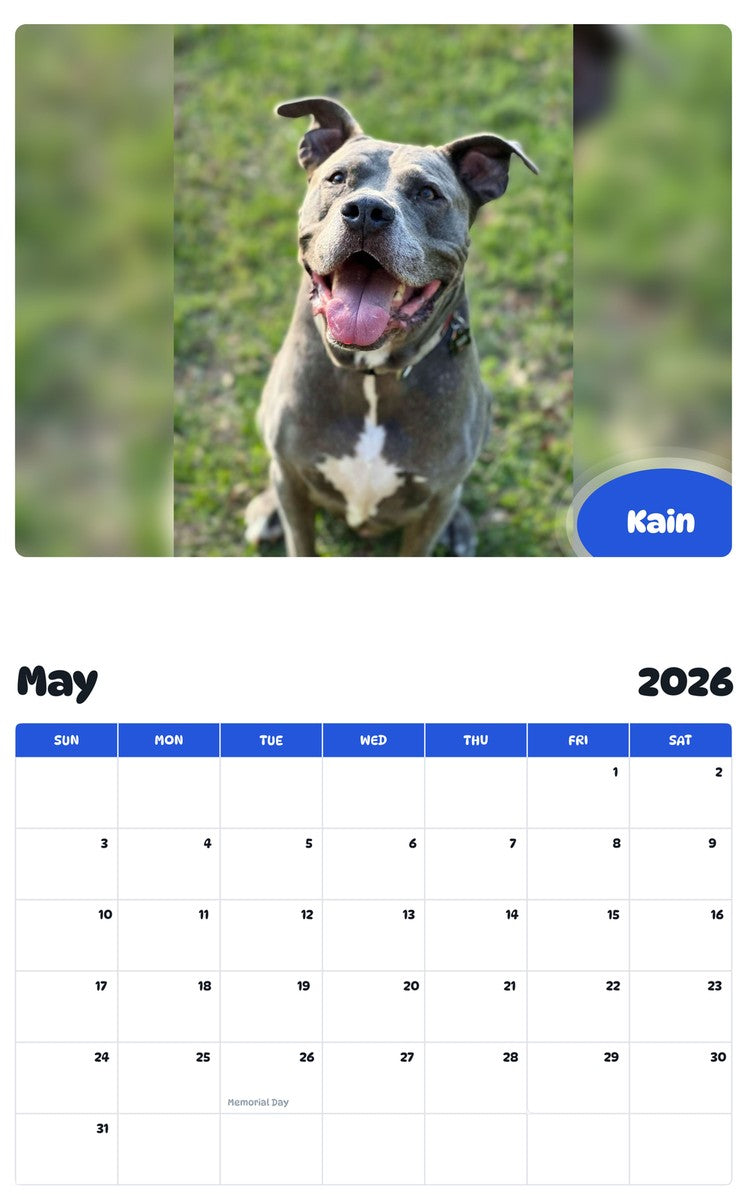2026 - 2027 Kain - Pawidols Pet Calendar