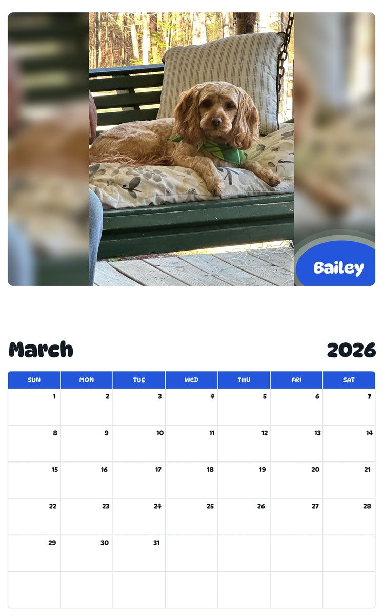 November 2025 - October 2026 Bailey - Pawidols Pet Calendar