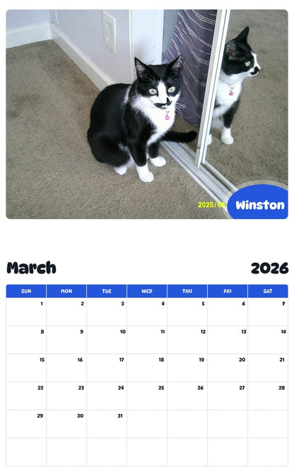 November 2025 - October 2026 Winston - Pawidols Pet Calendar